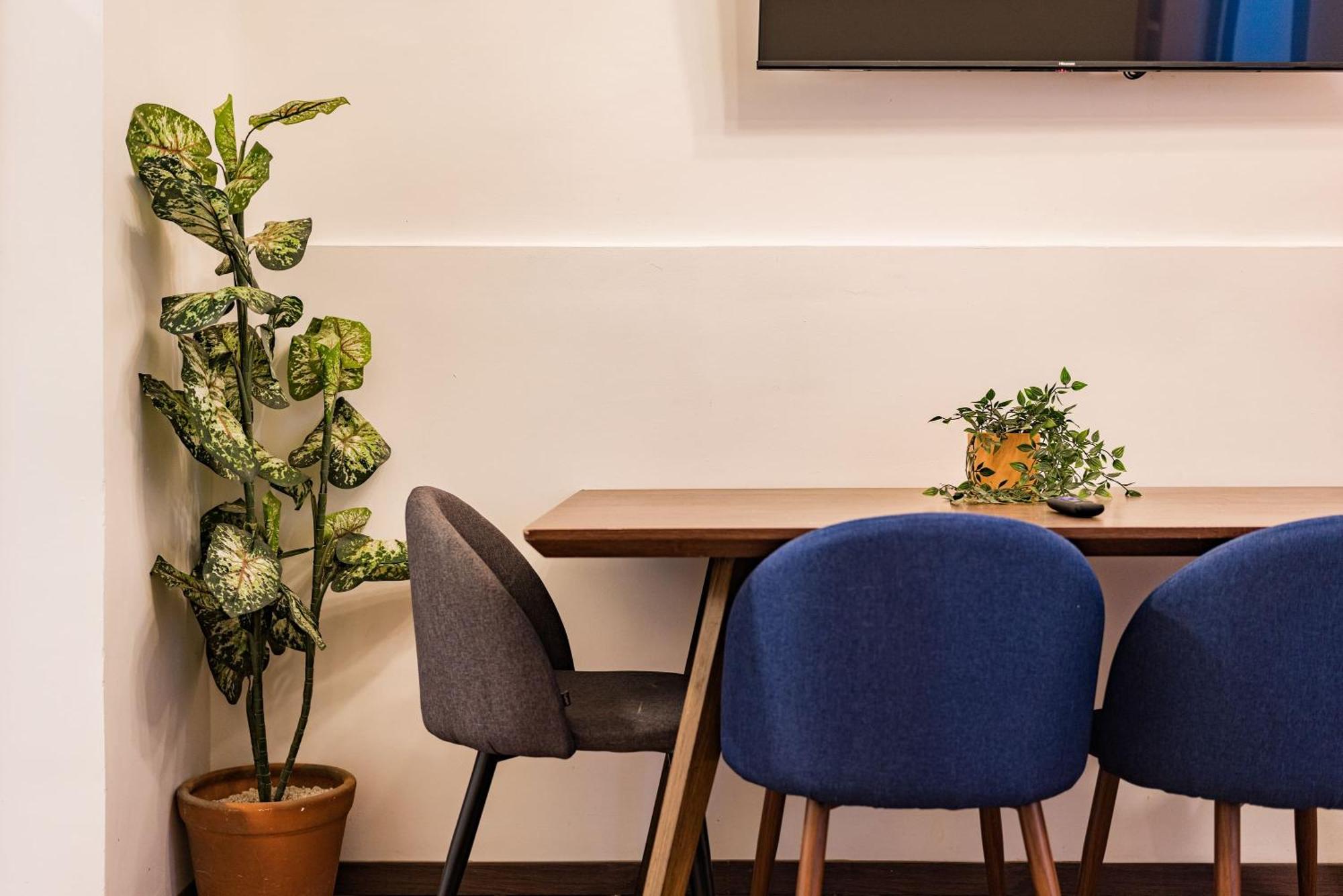 Santa Ma La Ribera Lofts By Vh Appartement Mexico-stad Buitenkant foto