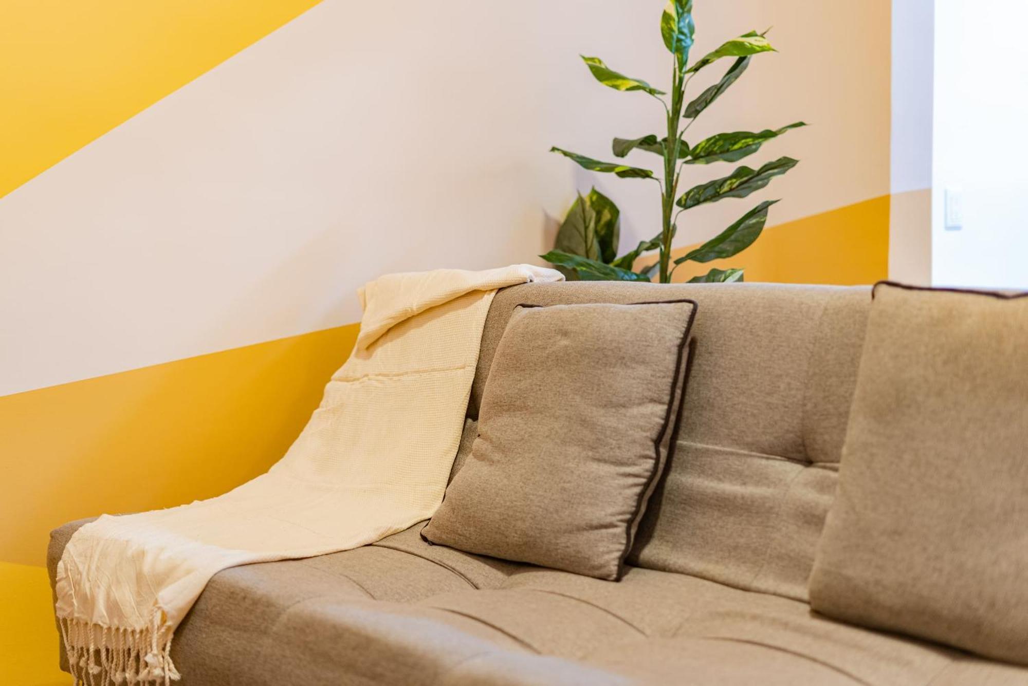 Santa Ma La Ribera Lofts By Vh Appartement Mexico-stad Buitenkant foto
