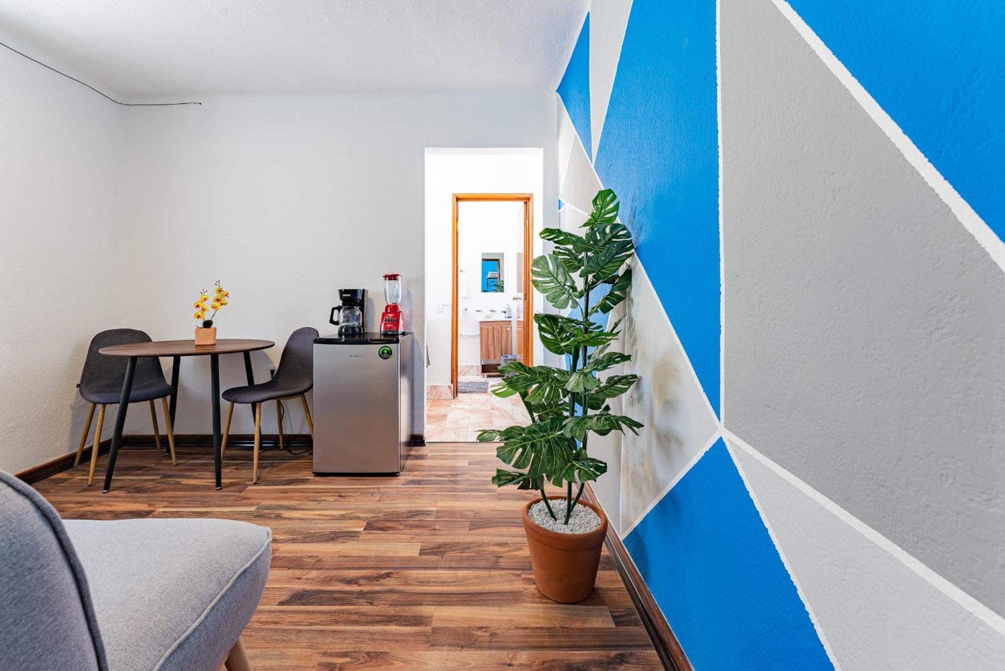Santa Ma La Ribera Lofts By Vh Appartement Mexico-stad Buitenkant foto